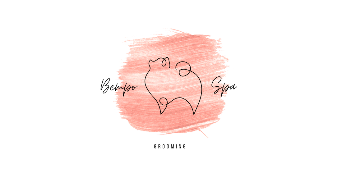 Bempo Spa - Grooming
